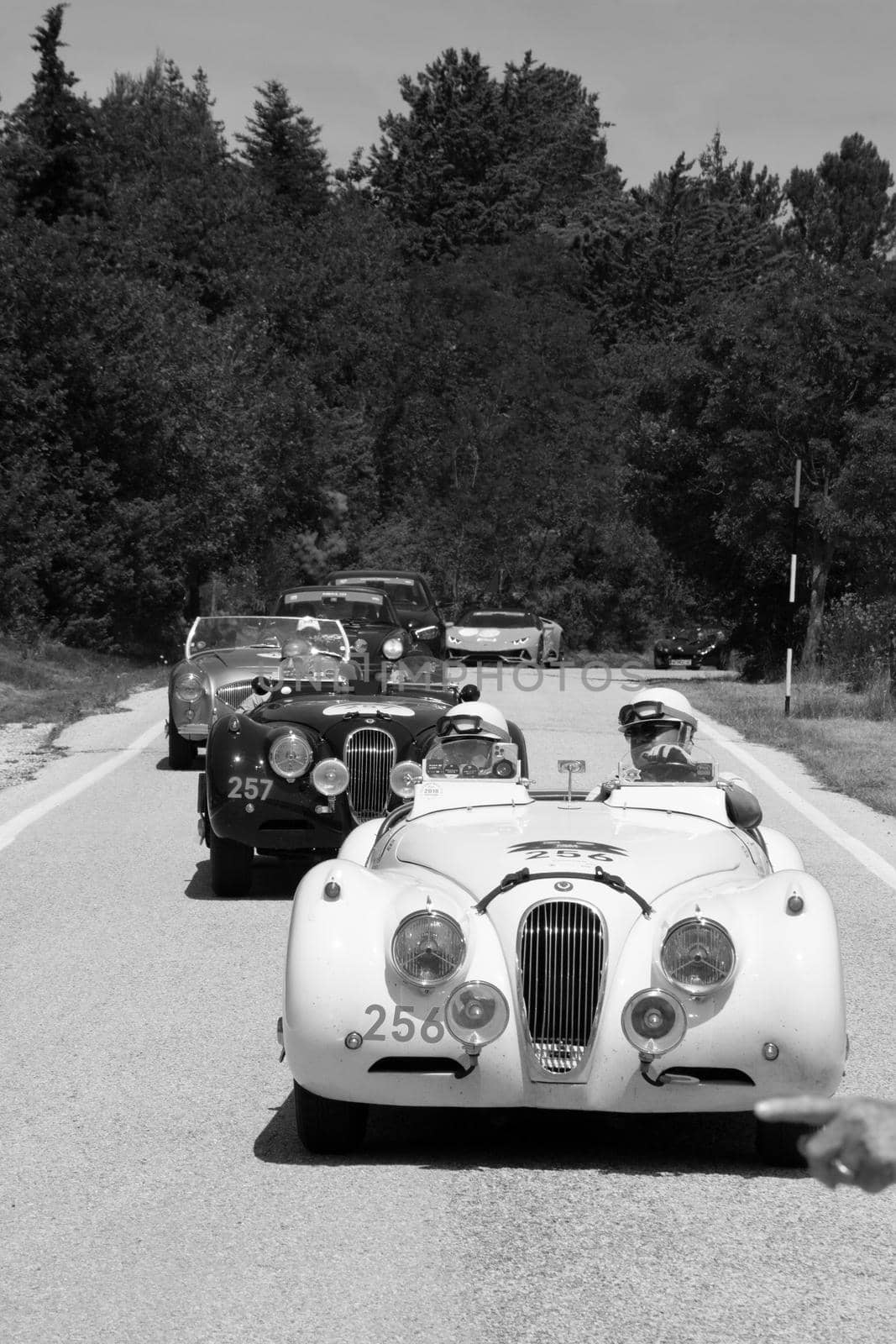 JAGUAR XK120 OTS ROADSTER 1953 on an old racing car in rally Mille Miglia 2022 the famous italian historical race (1927-1957 by massimocampanari