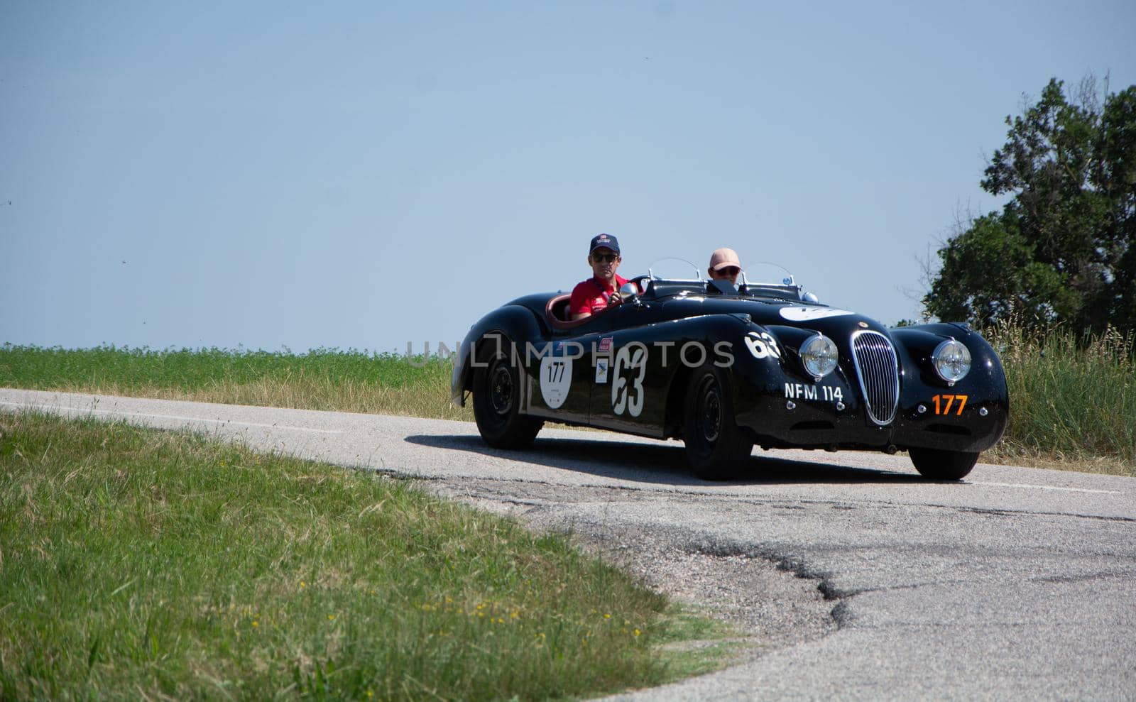 URBINO - ITALY - JUN 16 - 2022 : JAGUAR XK120 OTS ROADSTER 1950 on an old racing car in rally Mille Miglia 2022 the famous italian historical race (1927-1957