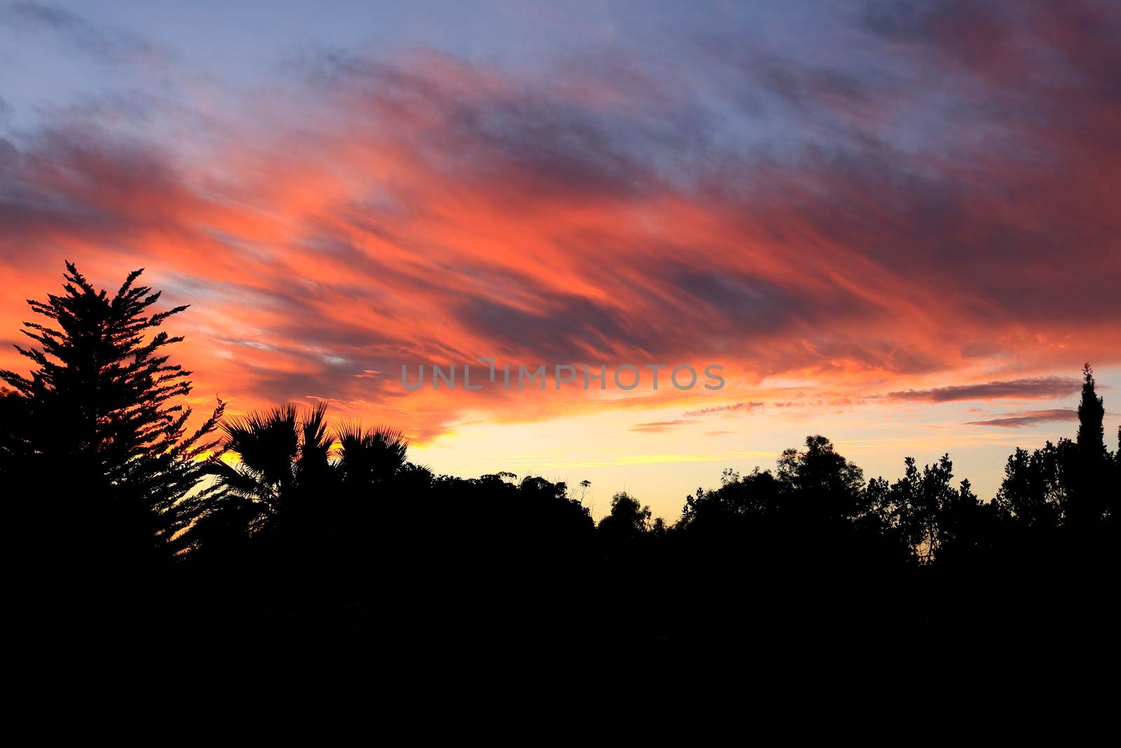 Pink and orange Clouds and lovely sky at Sunset in Alicante in summer