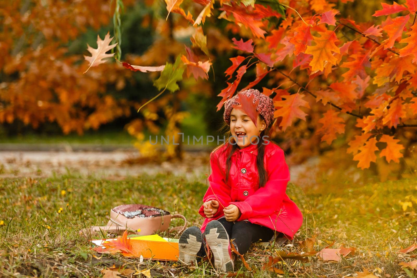Portrait of a cute little girl posing at the autumn park.