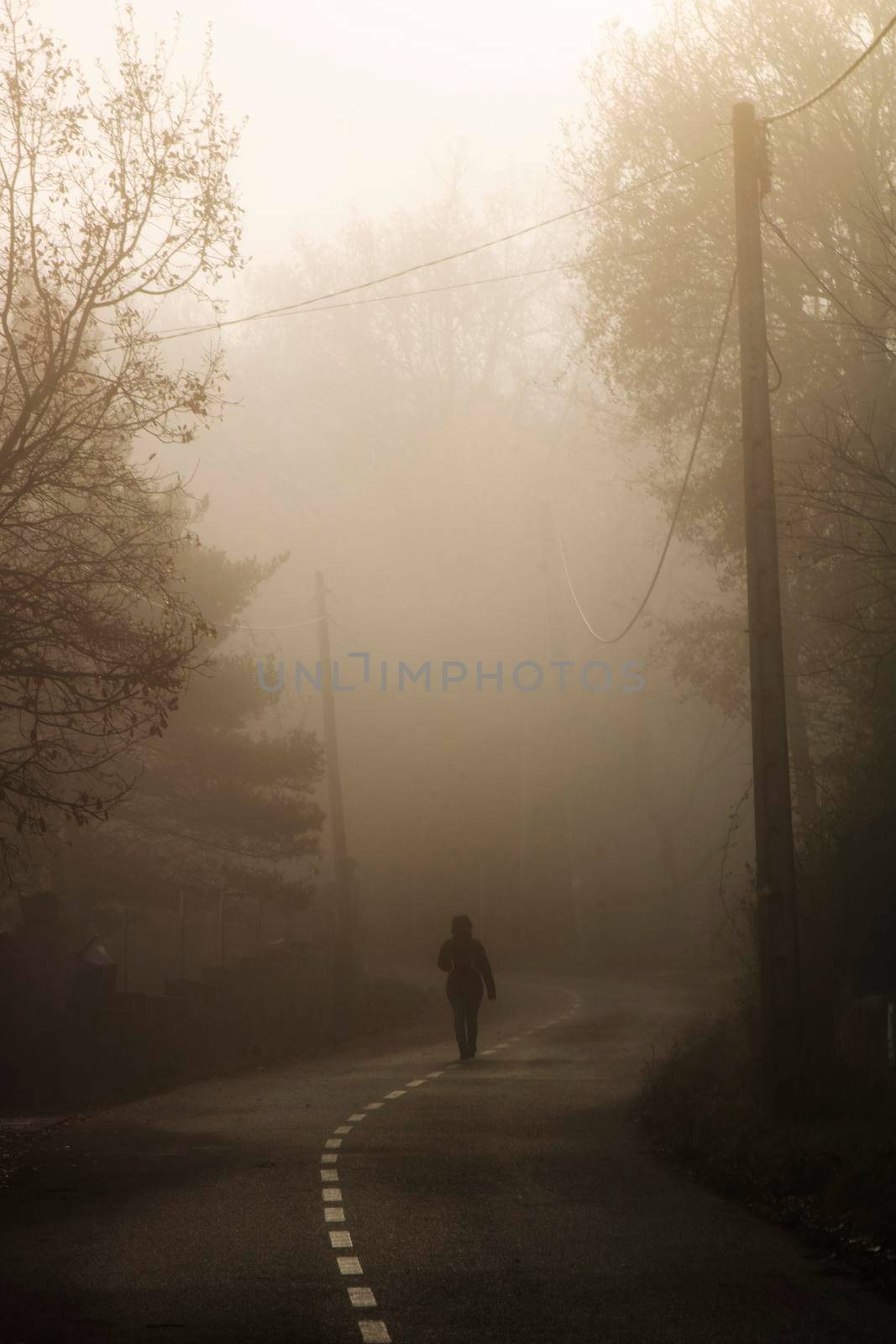 Lonely girl walking among the fog on a road surrounded by trees