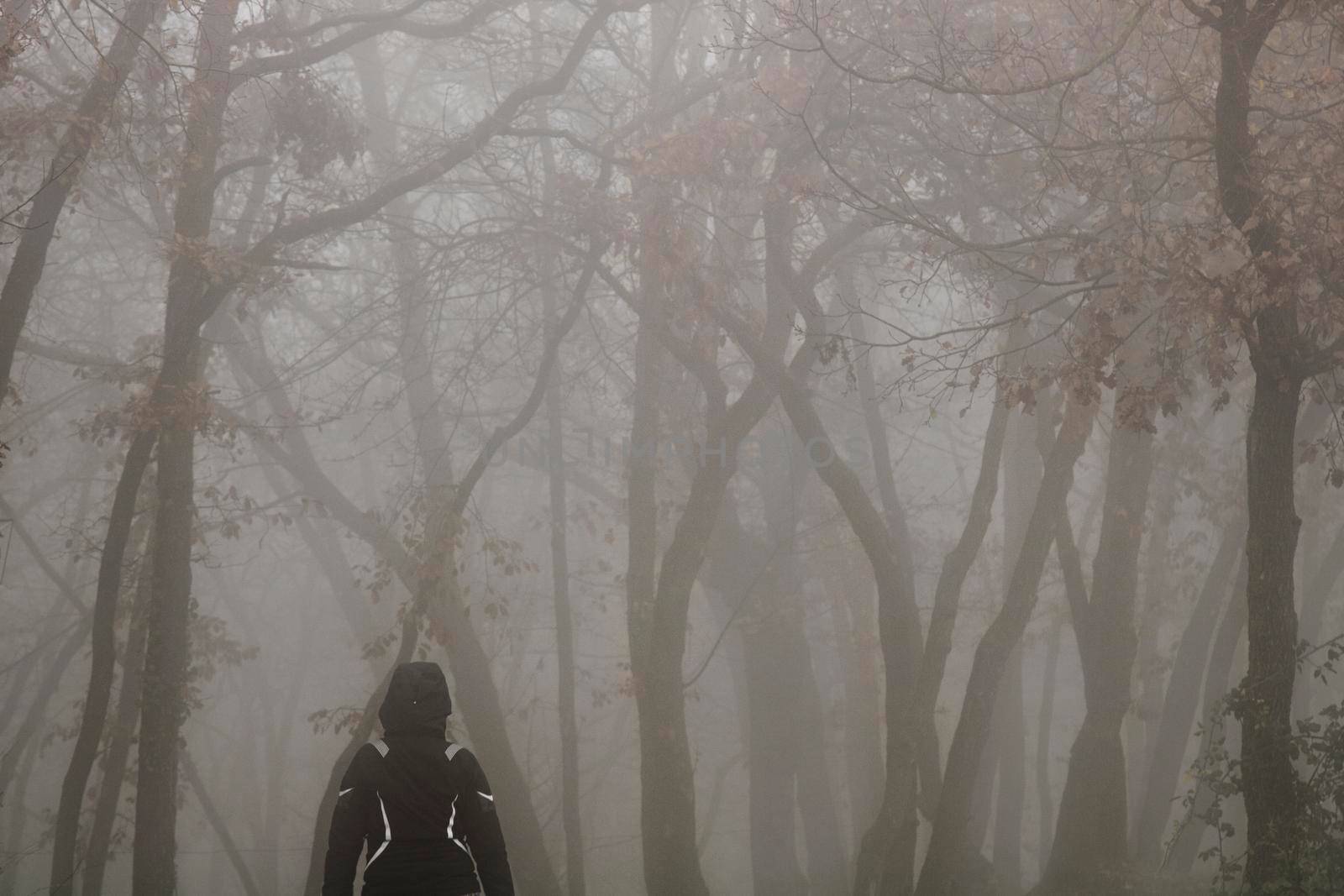 Girl walking among the fog and trees in a dark forest