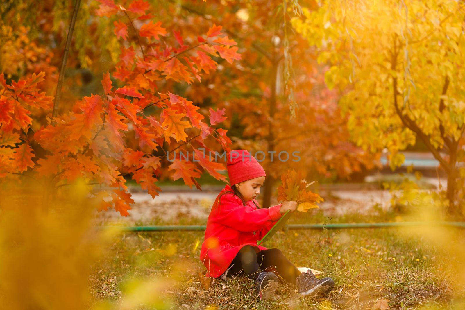 Adorable little schoolgirl studying outdoors on bright autumn day. Young student doing her homework. Education for small kids. Back to school concept. by Andelov13
