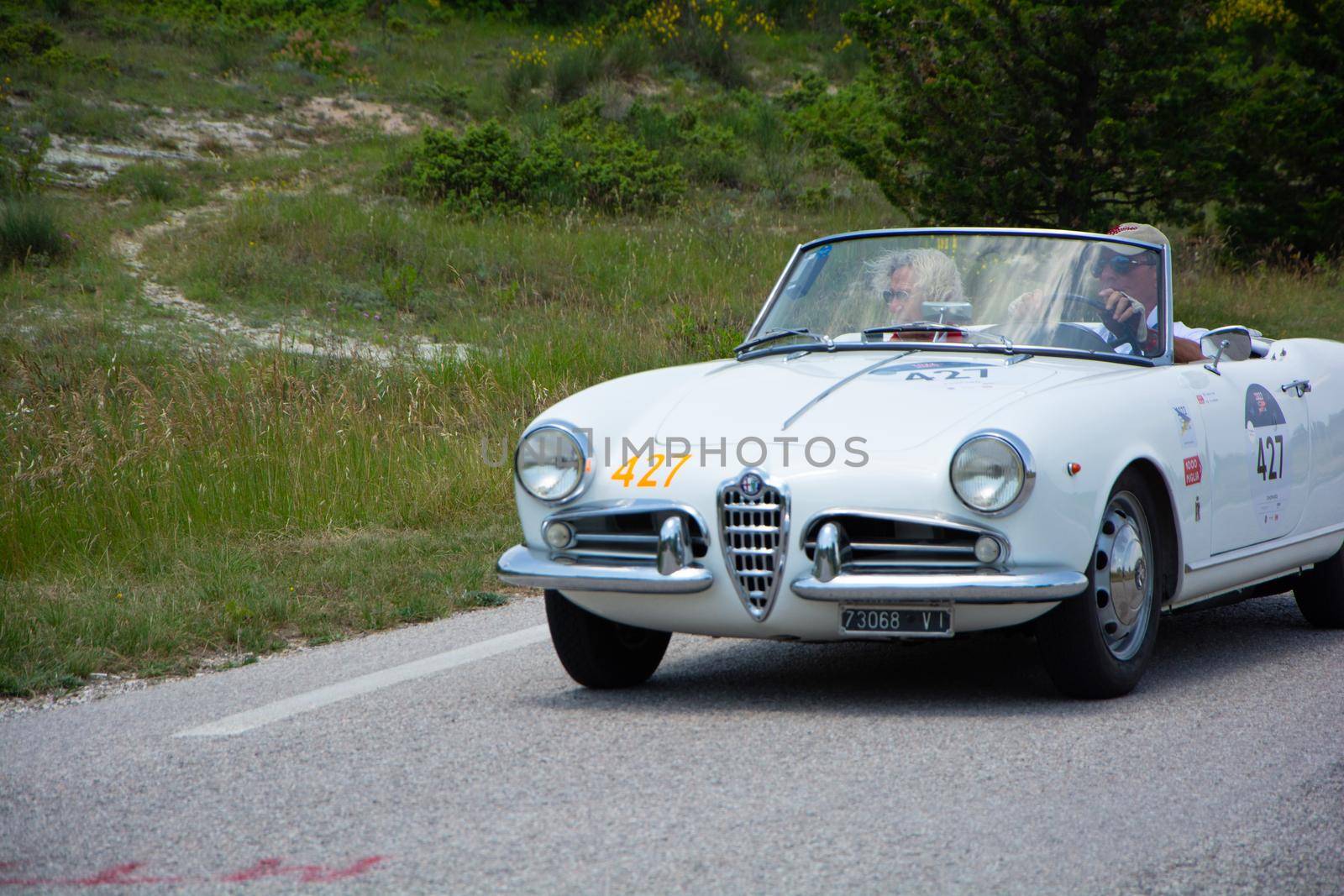 URBINO - ITALY - JUN 16 - 2022 : ALFA ROMEO GIULIETTA SPIDER 1957 on an old racing car in rally Mille Miglia 2022 the famous italian historical race (1927-1957