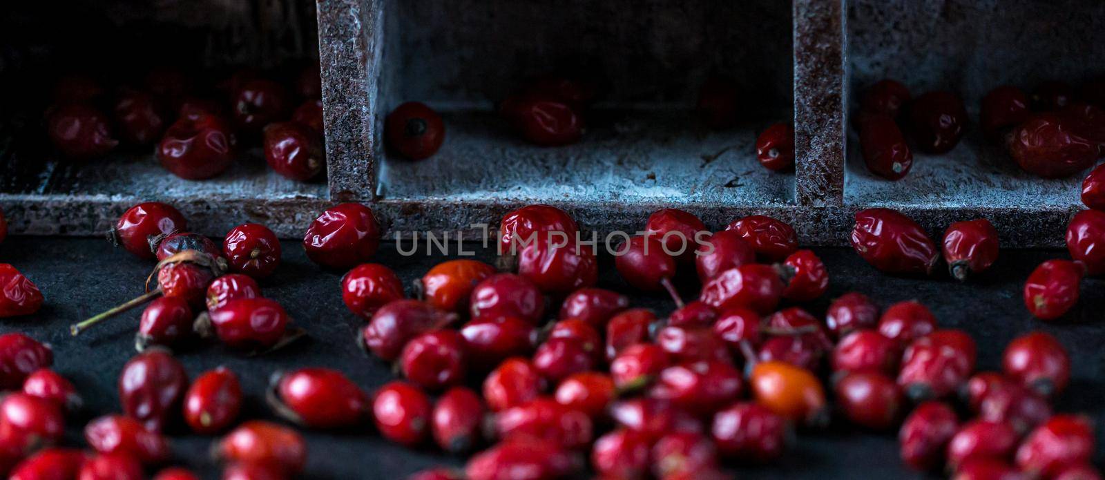 dried rosehip fruits on the table by Ciorba