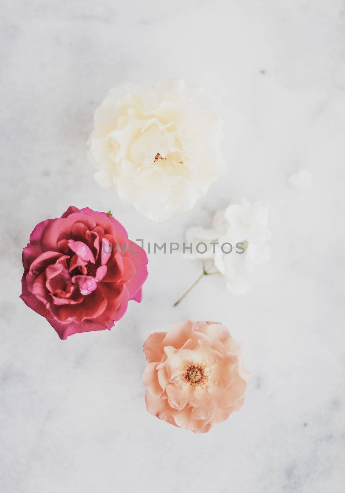 Wedding decor, floral background and beautiful home garden concept - Vintage roses on marble