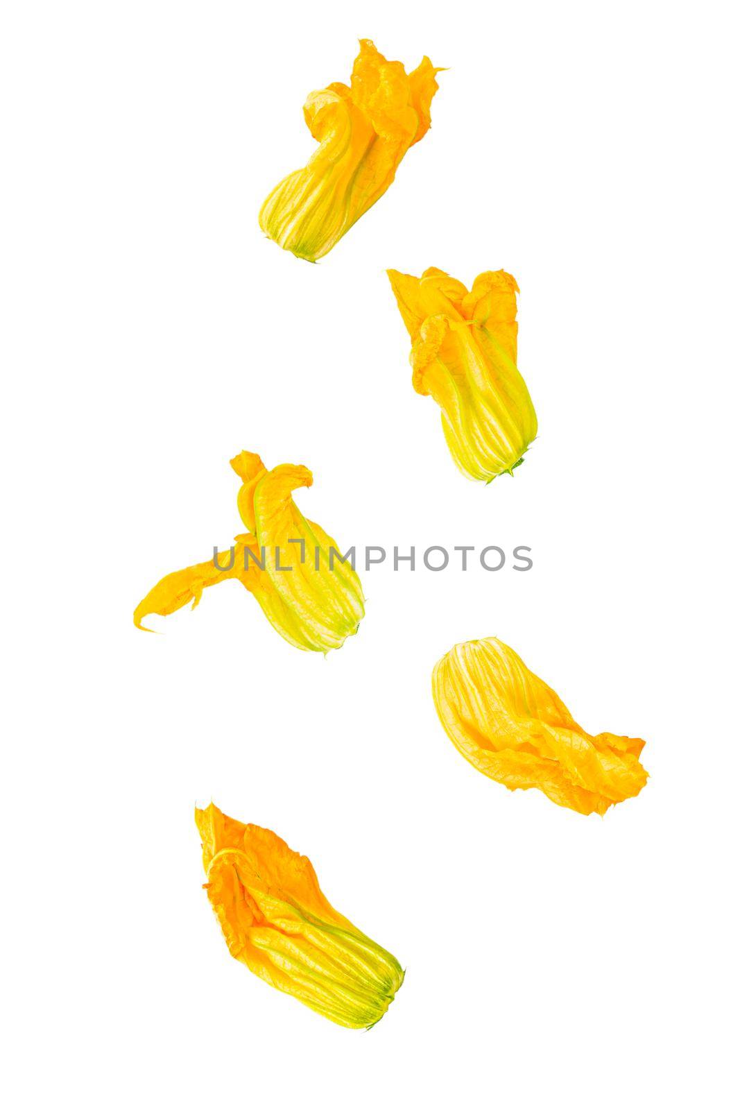 Cut apricot and almond isolated on white background with clipping path by Ciorba