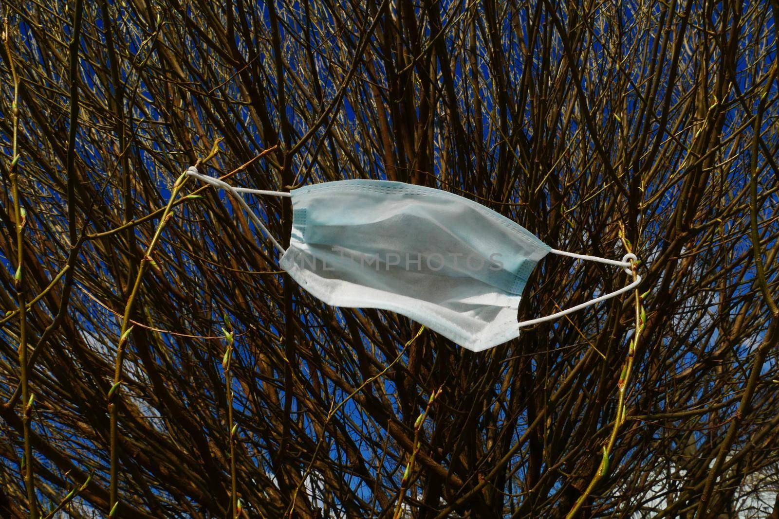Medical mask hanging from the branches of a bush. by gelog67