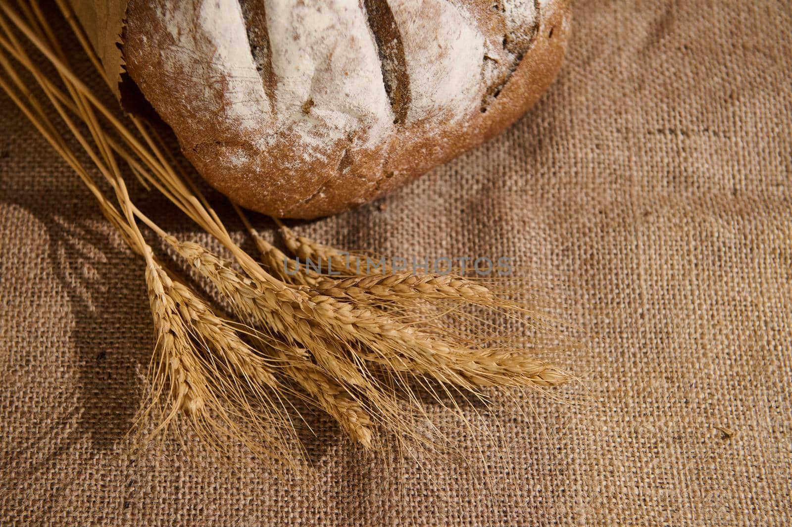 Selective focus. Overhead view of the ears of wheat next to a craft authentic homemade fresh baked whole grain rye sourdough bread on burlap surface. Copy advertising text. Artisanal bakery