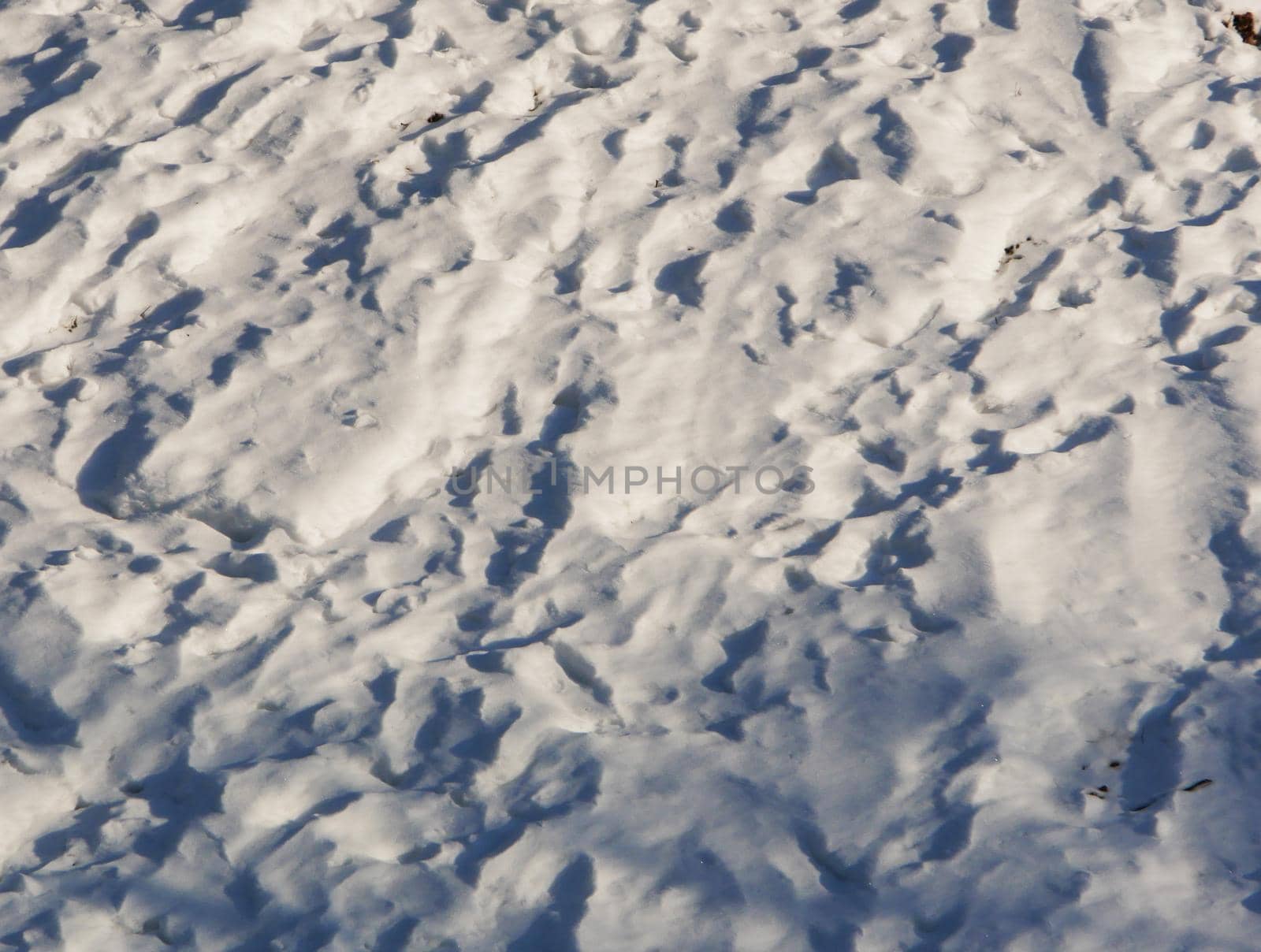 Footprints in the snow from shoes.Snow texture with foot prints