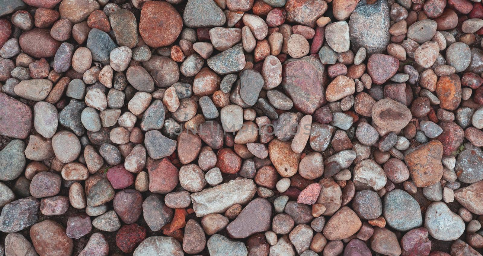 Texture of multi-colored sea stones on the shore.