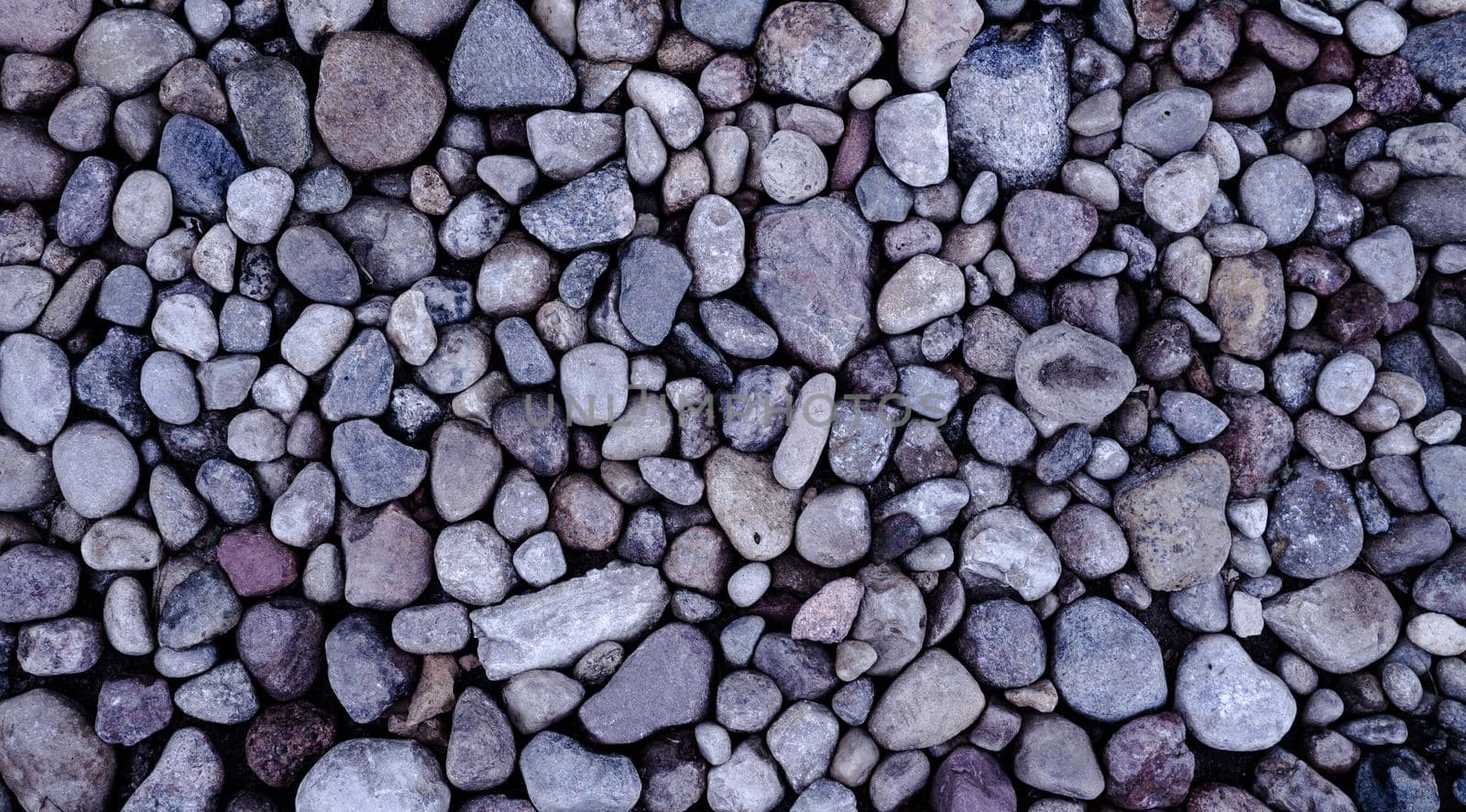 Pebbles lying on the beach