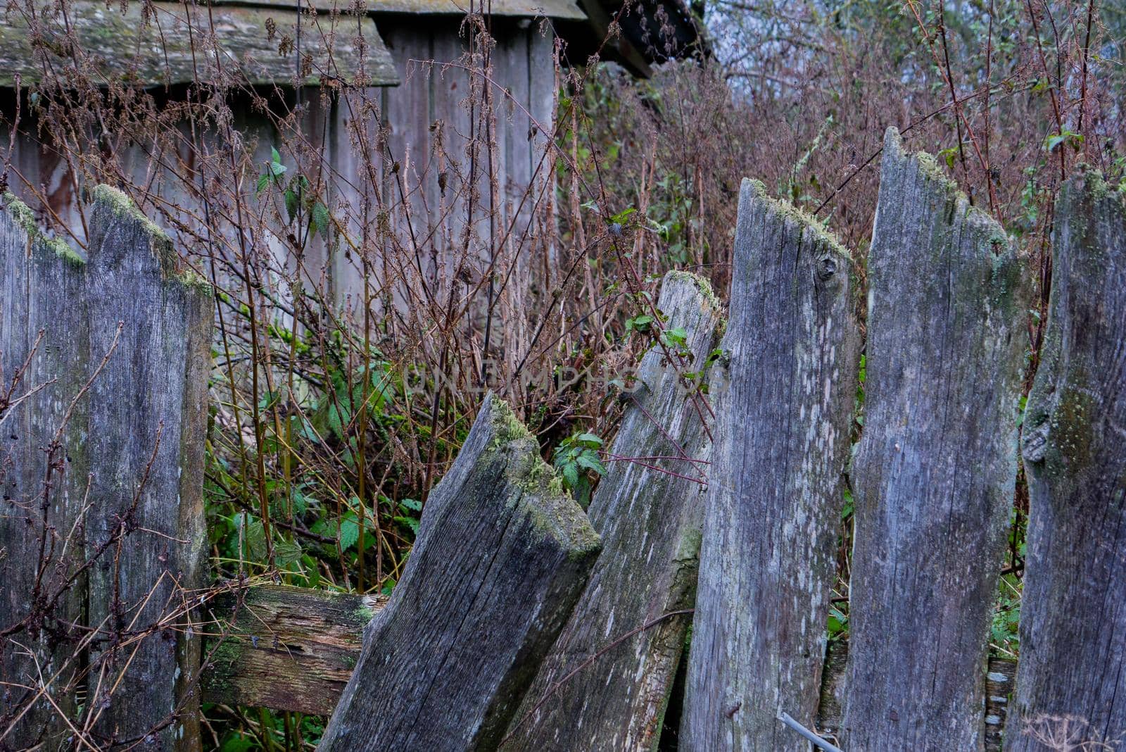 Old fallen fence made of wooden planks. country yard, Fence made of old broken boards. An old abandoned wooden textured fence.