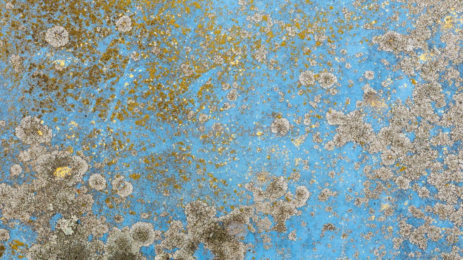 Blue metal surface covered with gray and yellow mold..