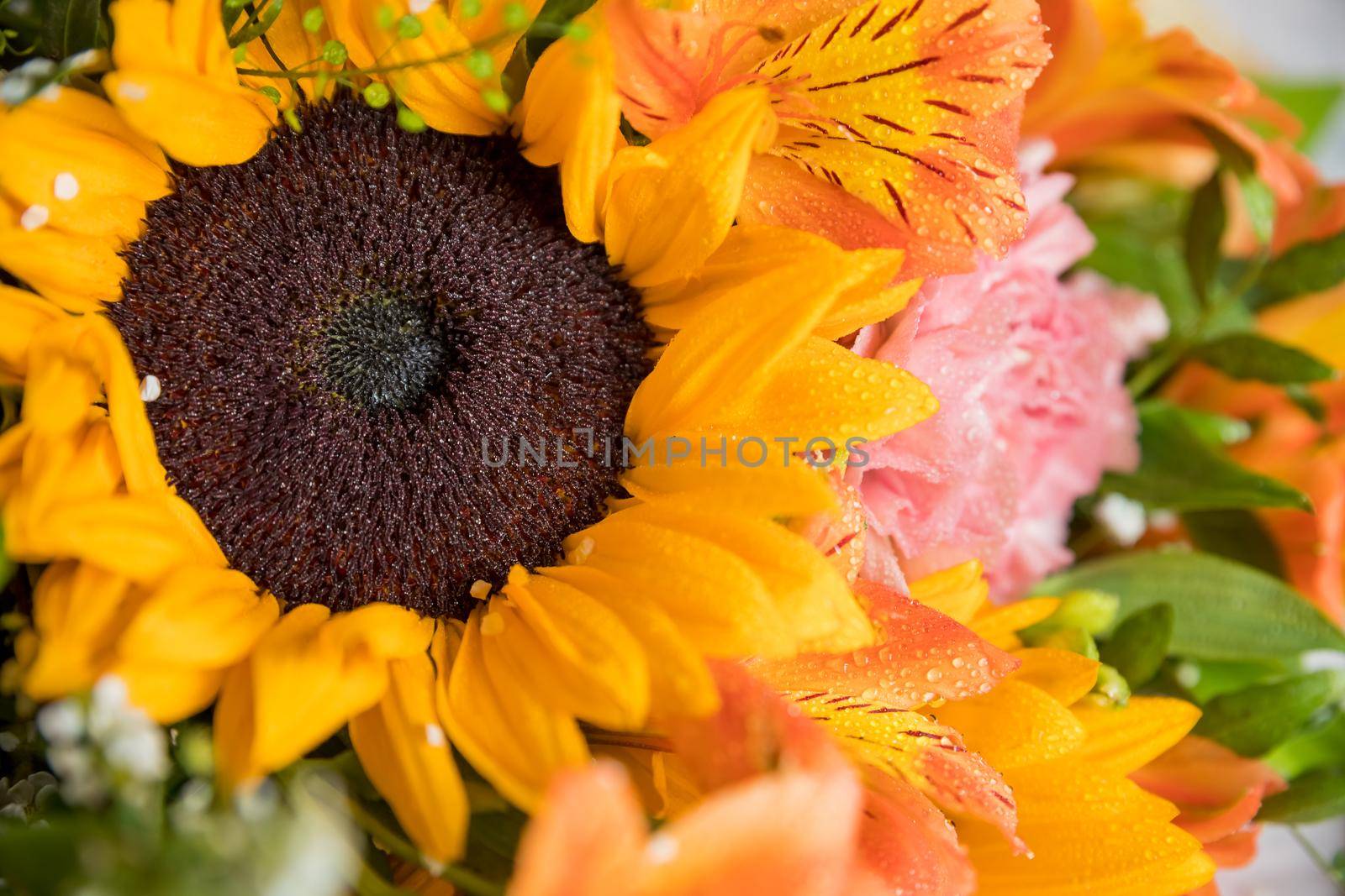 Hello August. Beautiful autumn bouquet with sunflowers and heart card close up on abstract light grey background.