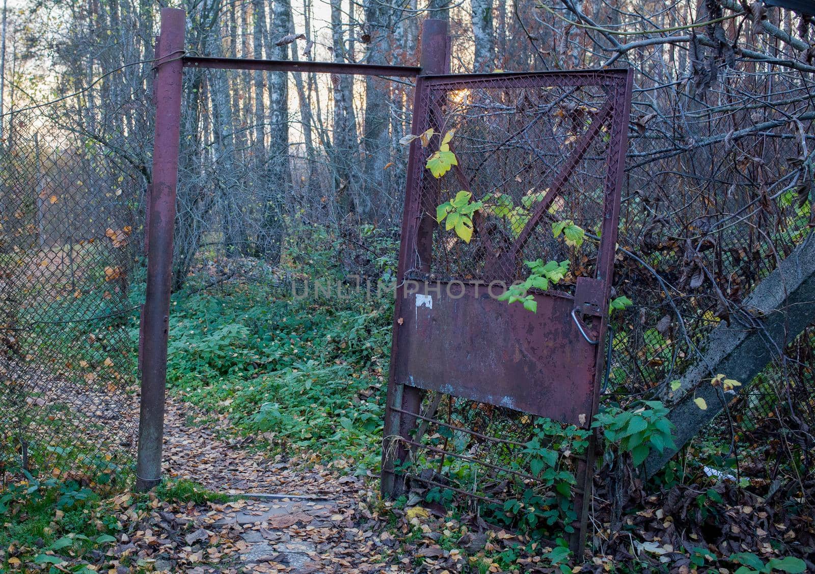 An old damaged metal gate in an abandoned garden.