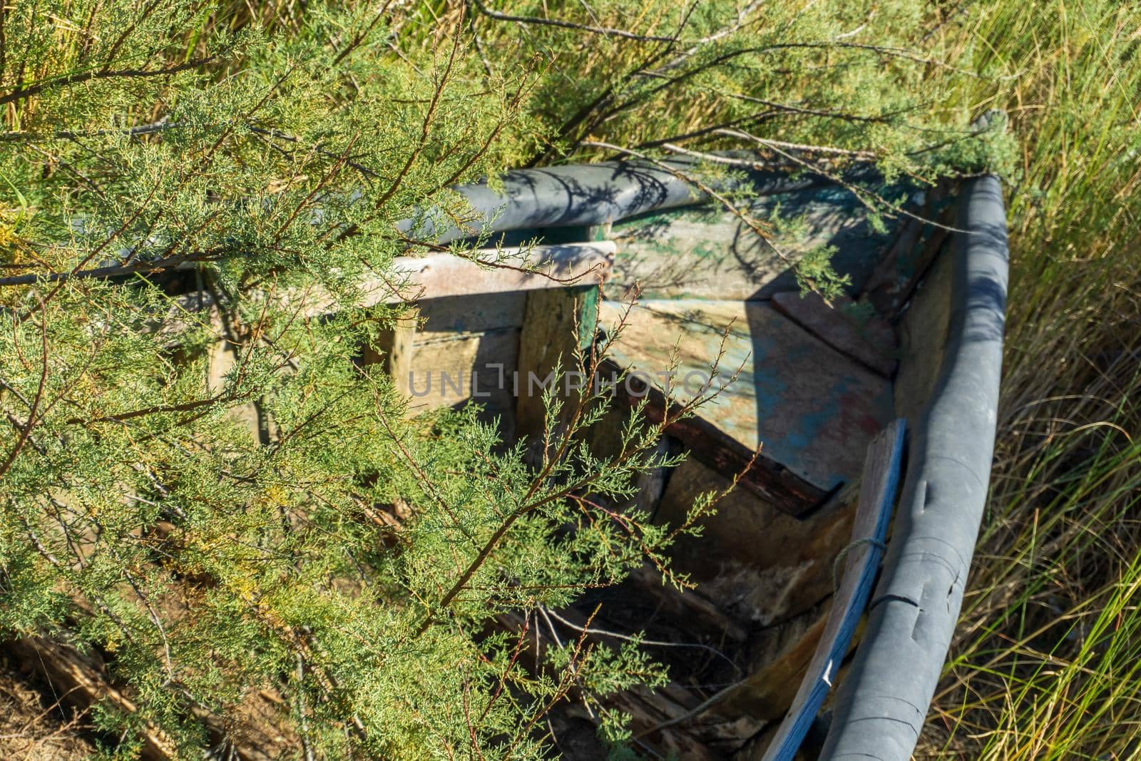 An old wooden boat abandoned in the thickets on the river bank close up