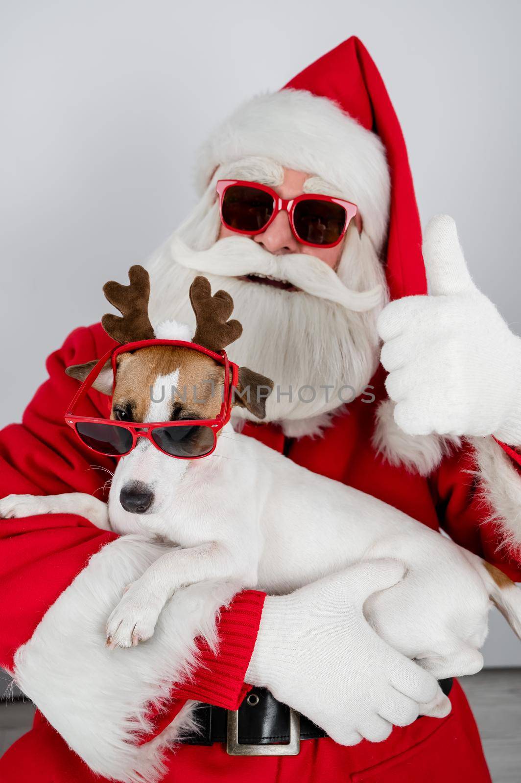 Portrait of santa claus in sunglasses and dog jack russell terrier in rudolf reindeer ears on a white background. by mrwed54