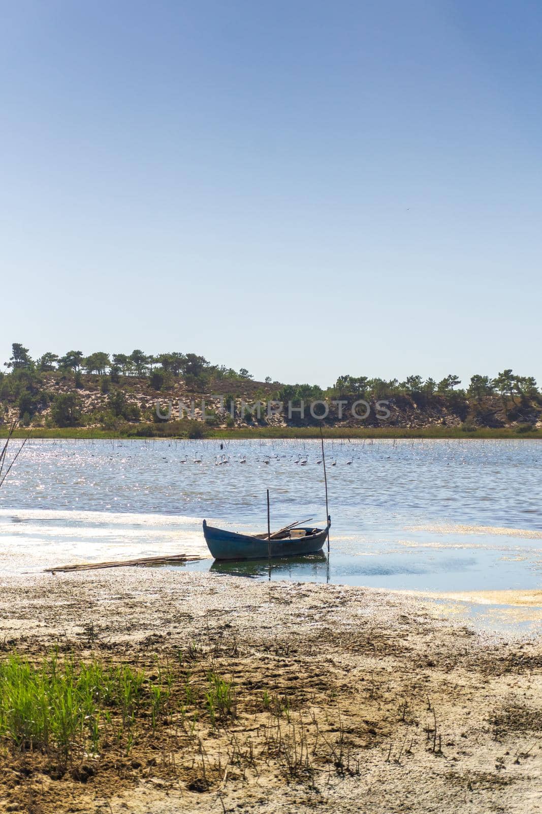 Vintage wooden boat on the river on a sunny day