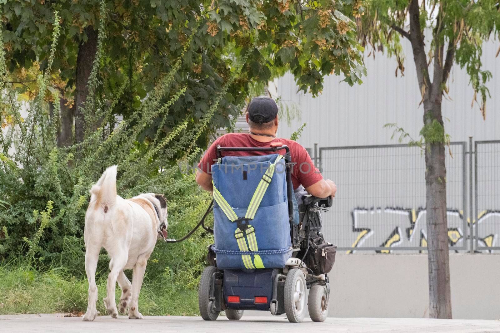 Old man in wheelchair with his dog outdoors by papatonic