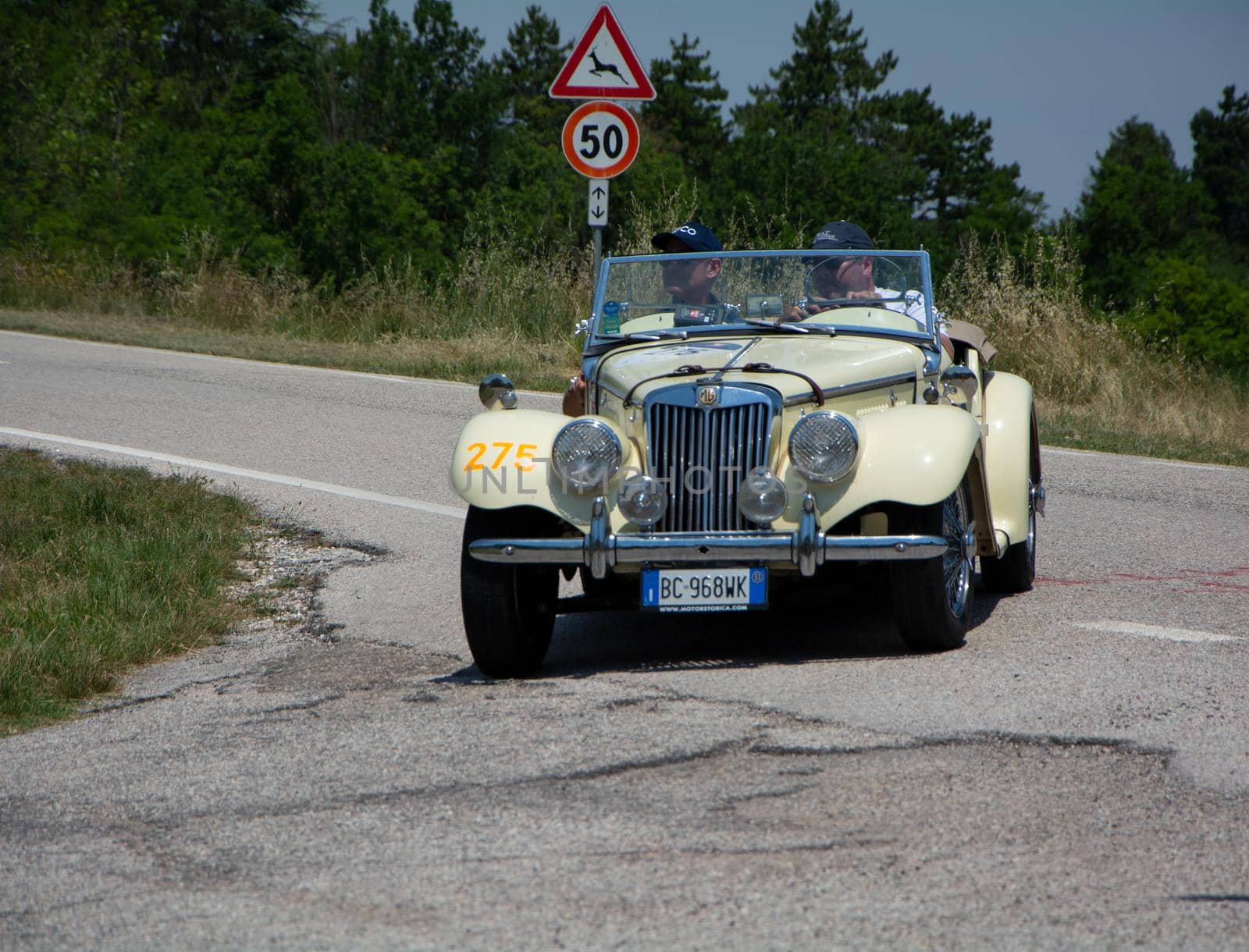 MG TF 1250 1953 on an old racing car in rally Mille Miglia 2022 the famous italian historical race (1927-1957 by massimocampanari