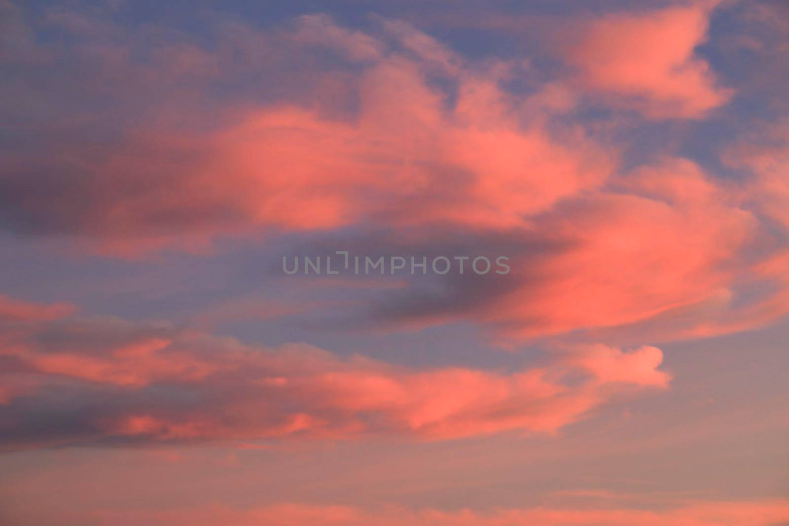 Pink Clouds and lovely sky at Sunset in Spain by soniabonet