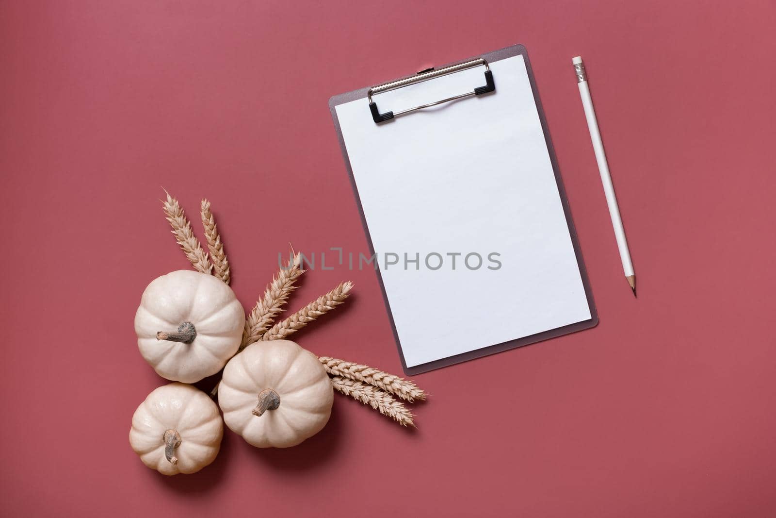 Blank tablet for text next to decorative pumpkins. Autumn theme mockup.