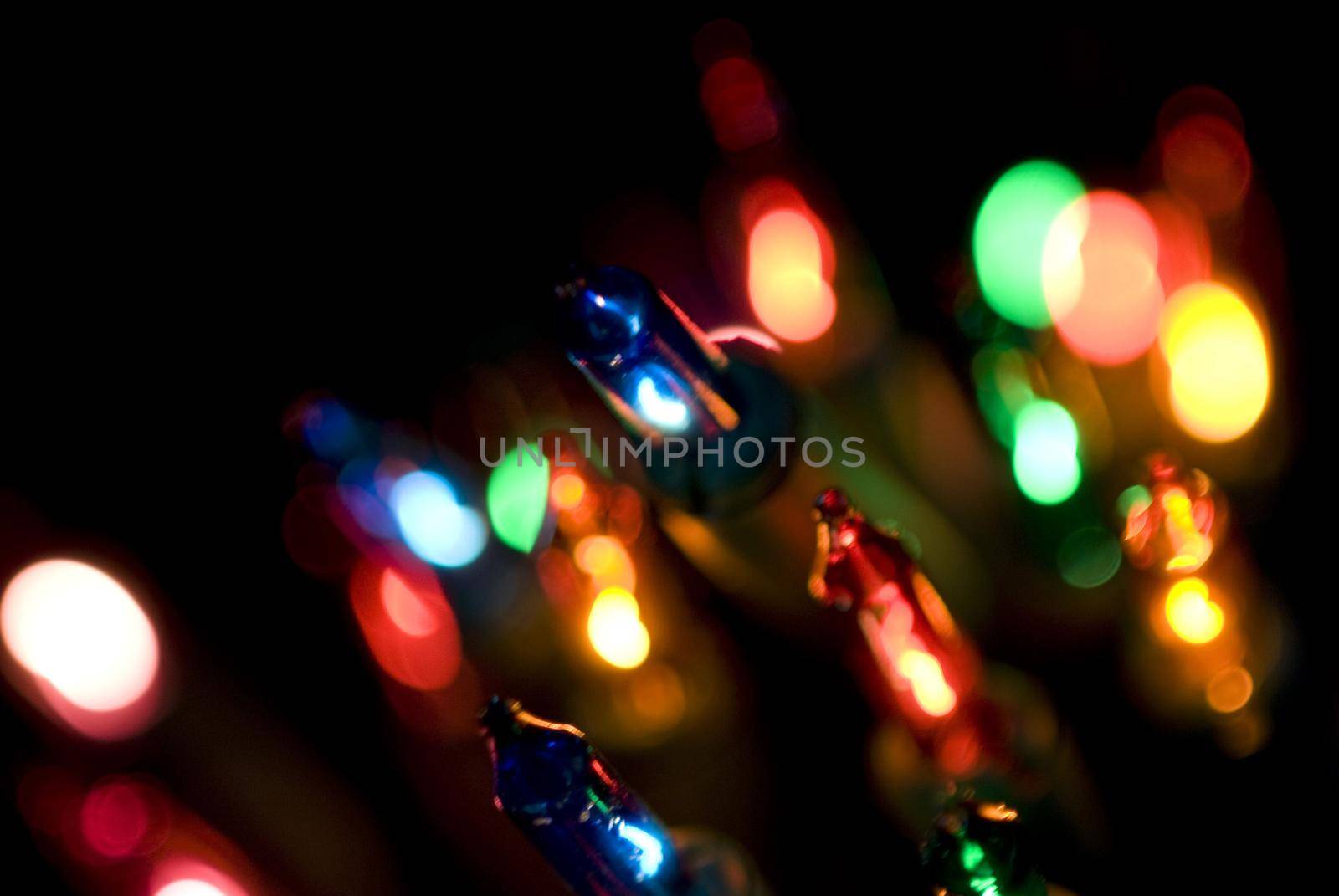 christmas lights by sanisra