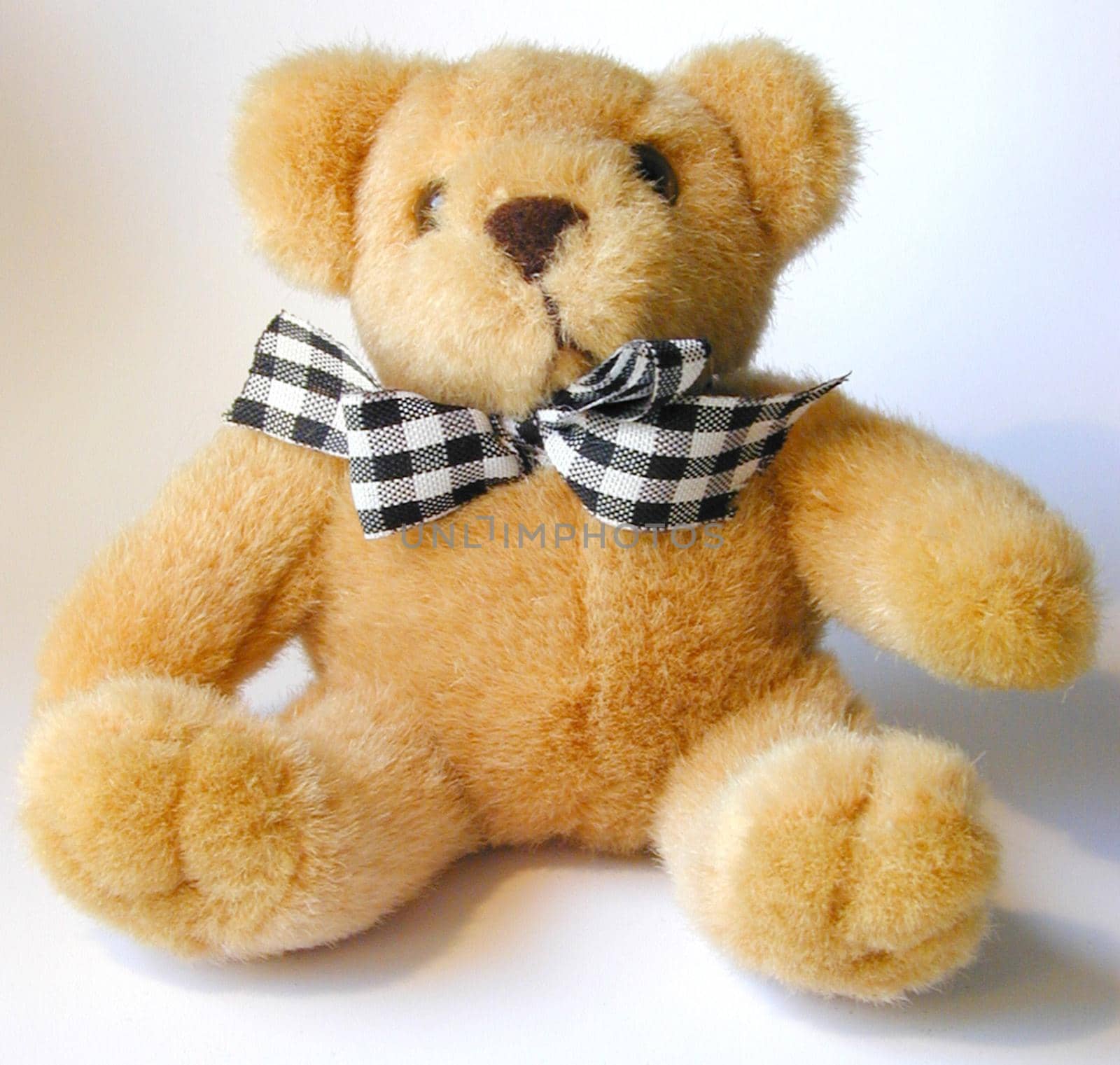 Soft cuddly plush toy teddy bear wearing a black and white checkered bow tie sitting against a white background
