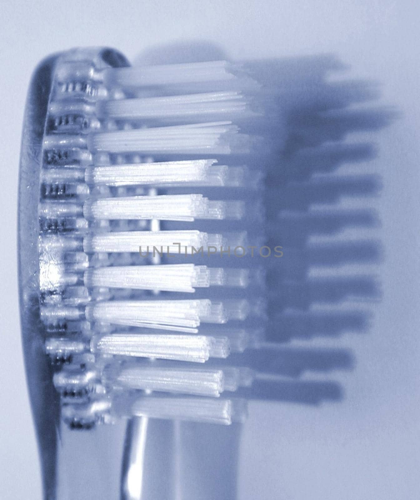 the head of a dental toothbrush