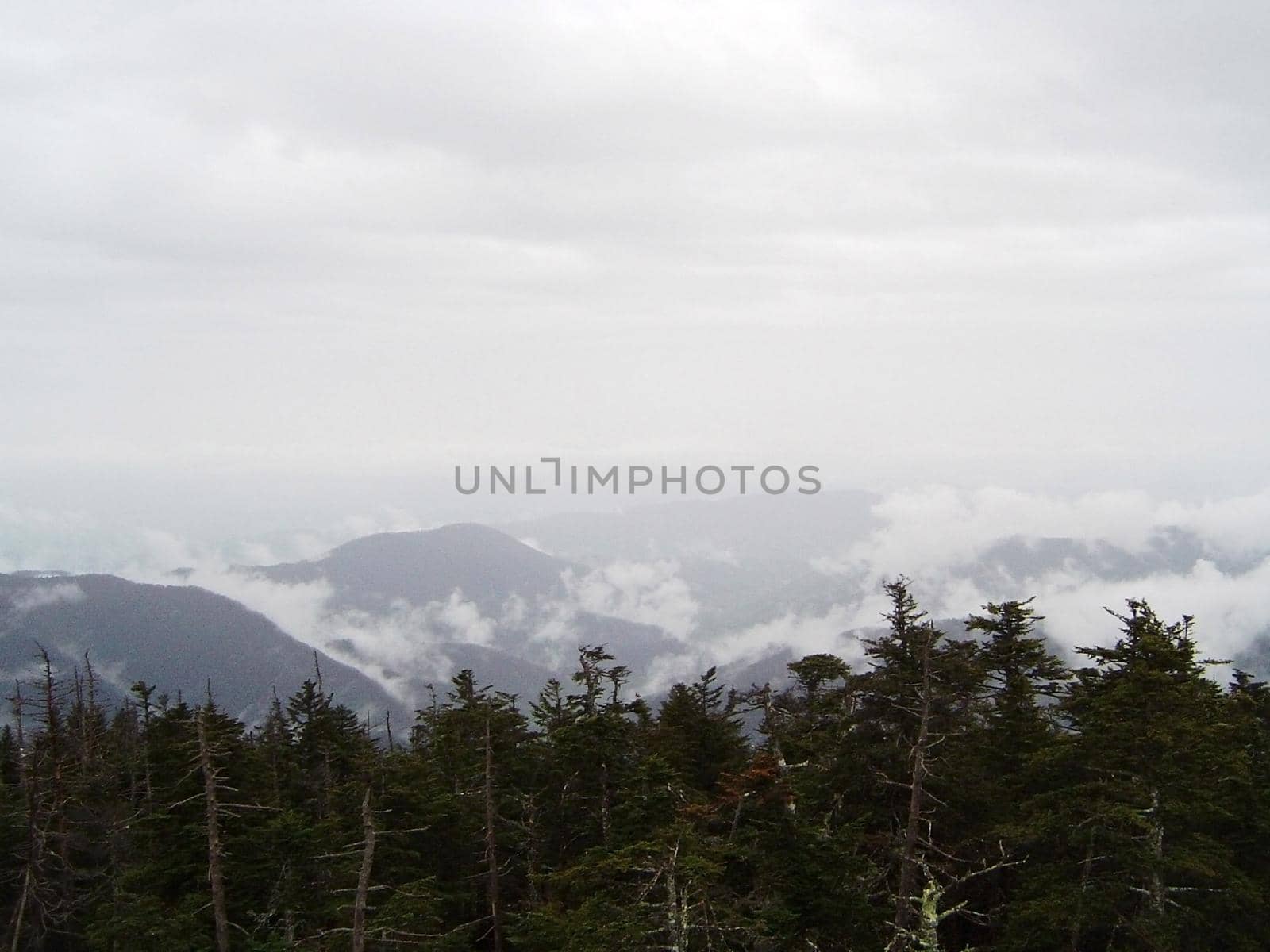 a generic wilderness alpine mountain view