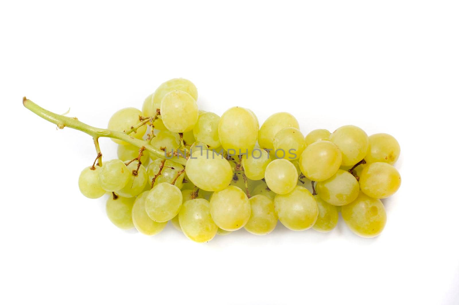 Bunch of fresh green grapes on a white background for a healthy sweet vegetarian snack or to be used in winemaking