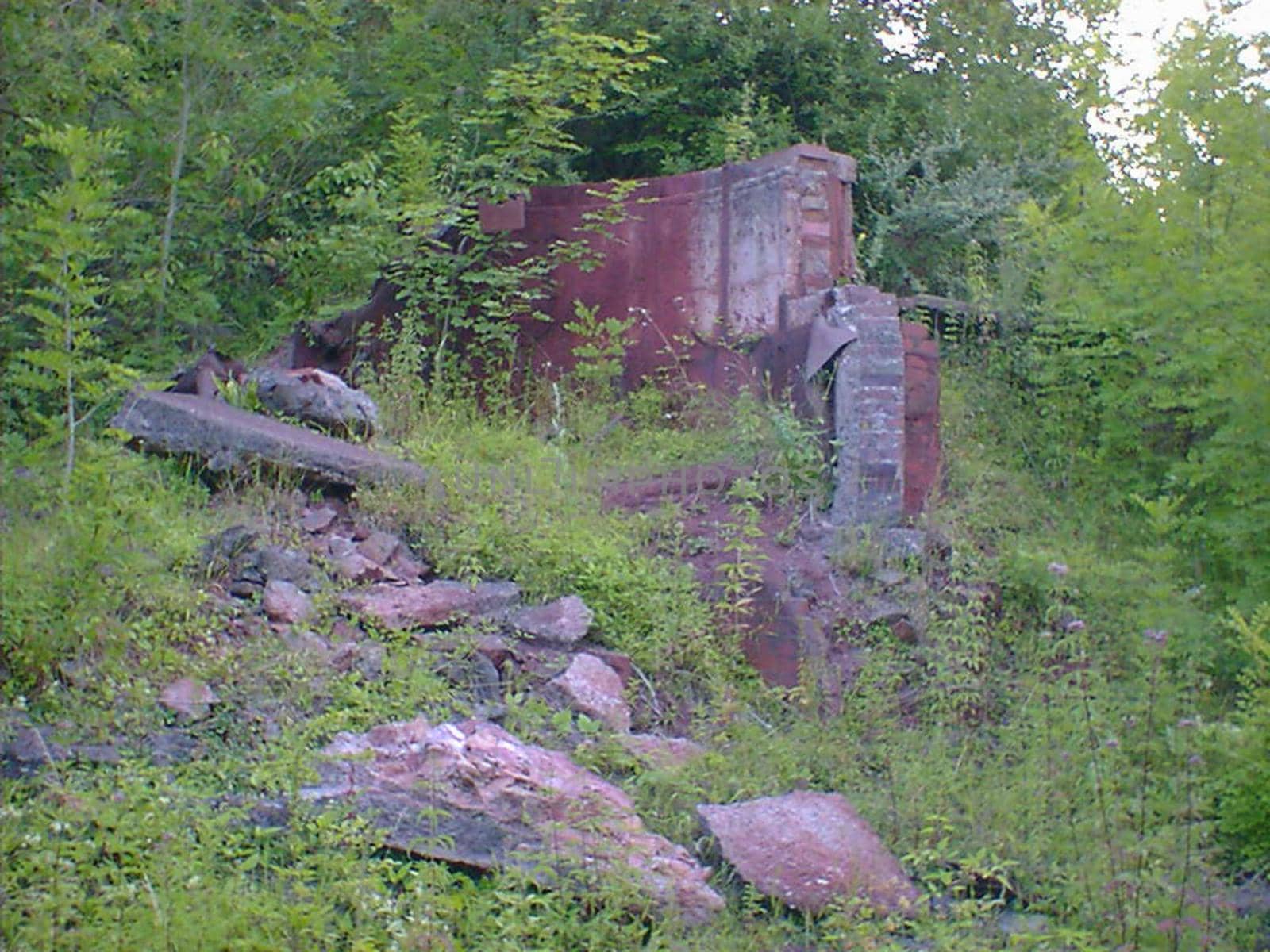 remains of an old factory overgrown with plants