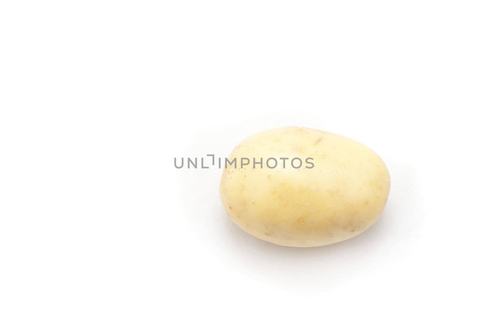 Single whole cleaned uncooked farm fresh potato on a white background with plenty of copyspace