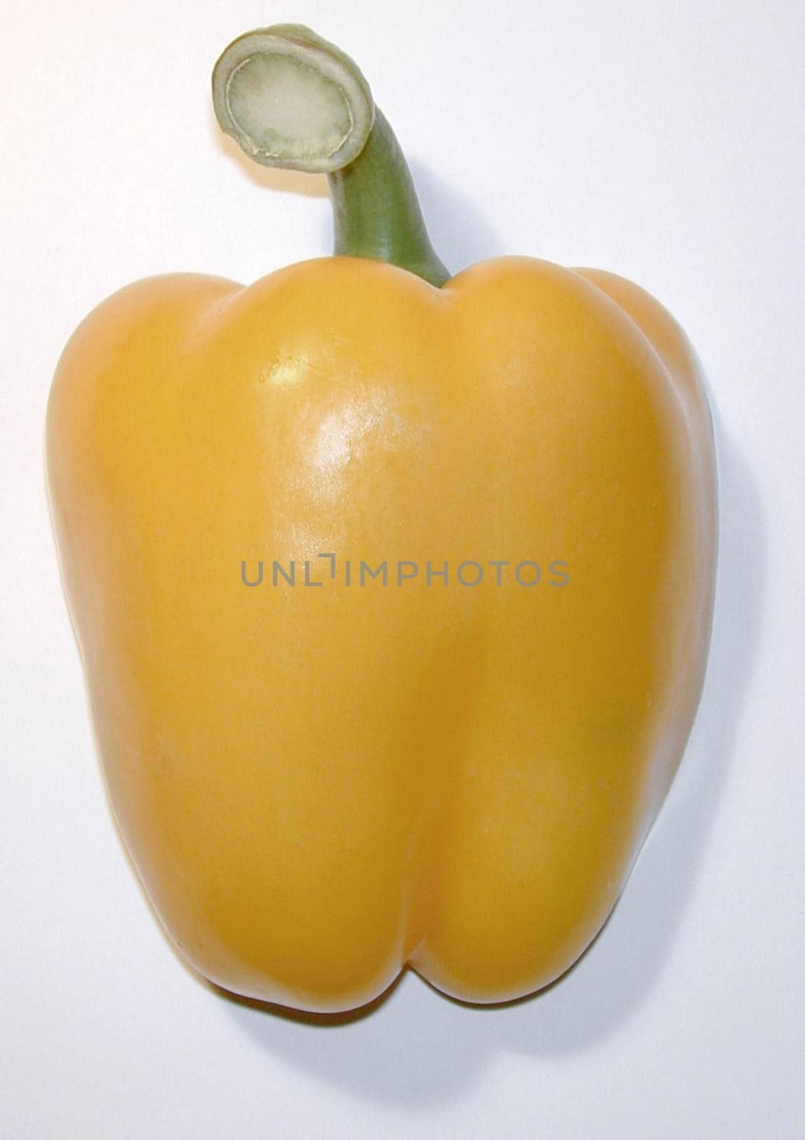 Whole fresh red sweet bell pepper rich in vitamins and antioxidants and a popular salad and cooking ingredient on a white background