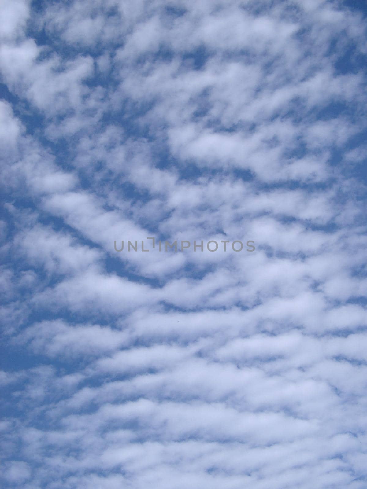 a bright fluffy clouded blue sky