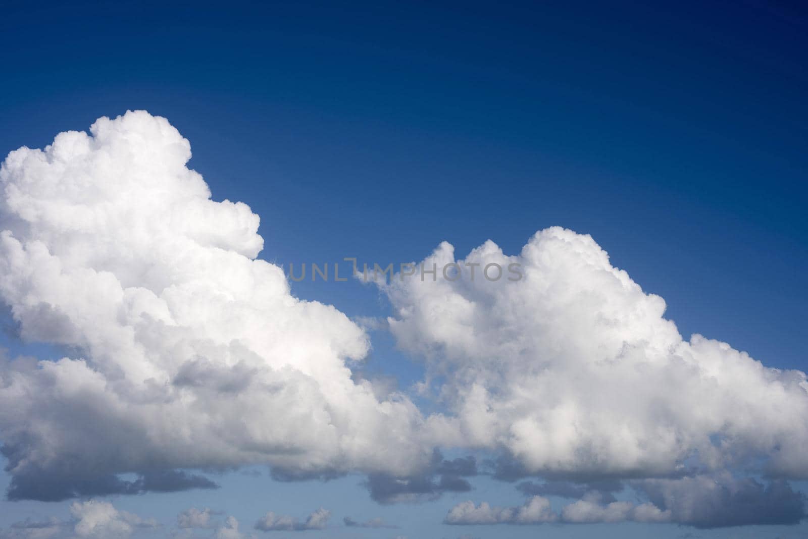 Beautiful fluffy white cumulonimbus clouds drifting in a vibrant clear blue sky.