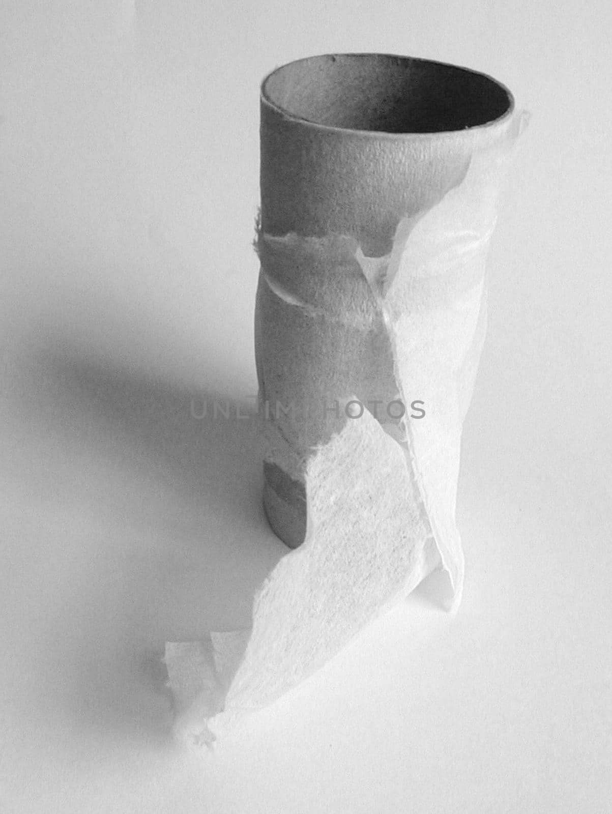 concept - problem - run out of toilet paper