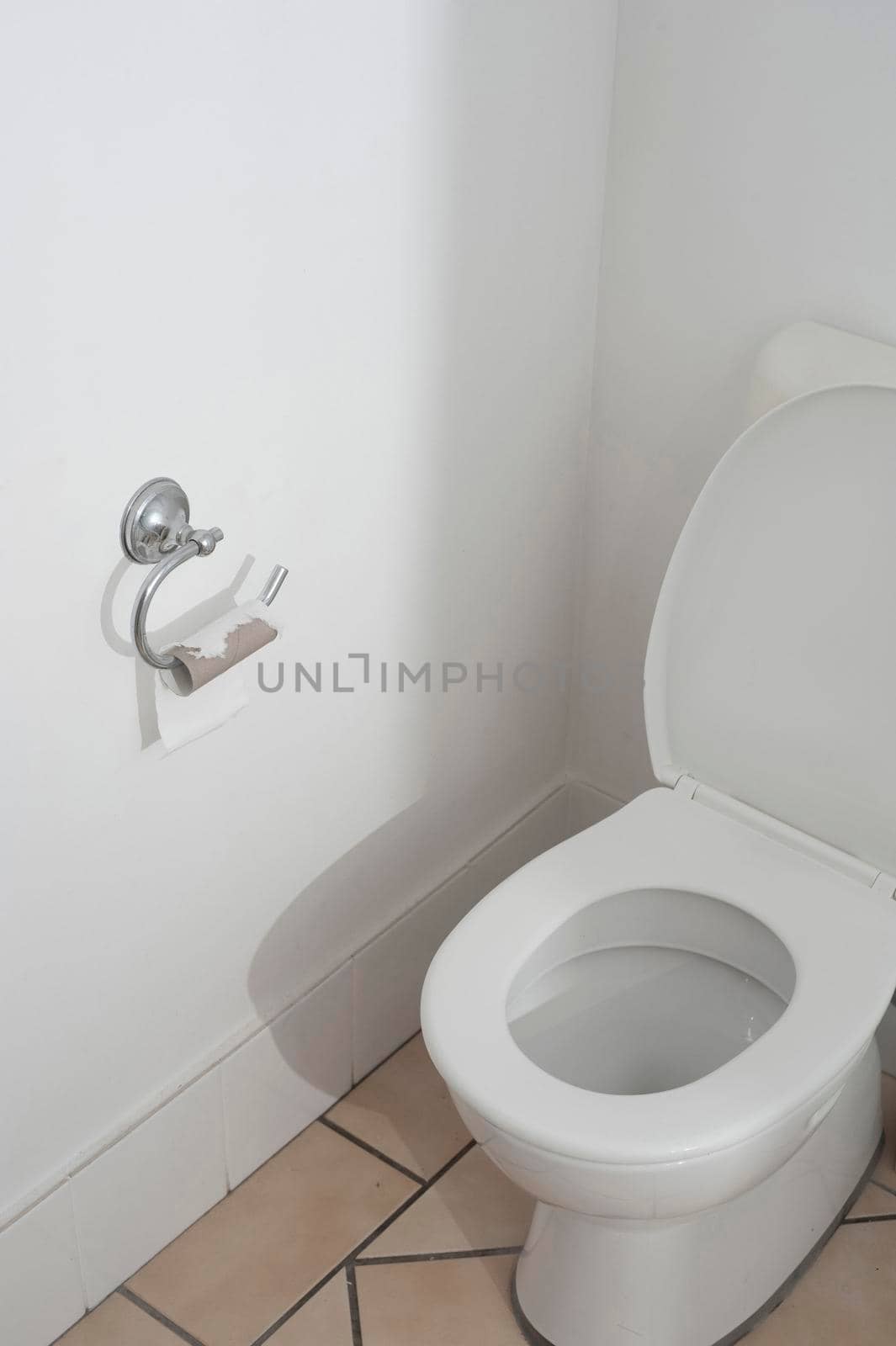 a domestic toilet with no toilet paper and plenty of copy space