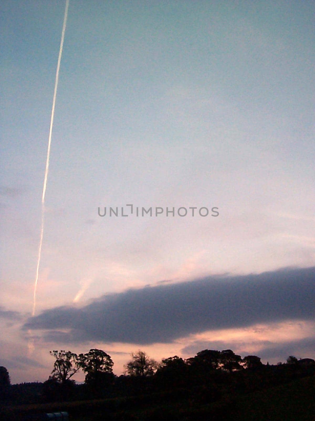Trees silhouetted against a pink sunset at dusk with a contrail from a jet streaking through the sky, with copyspace