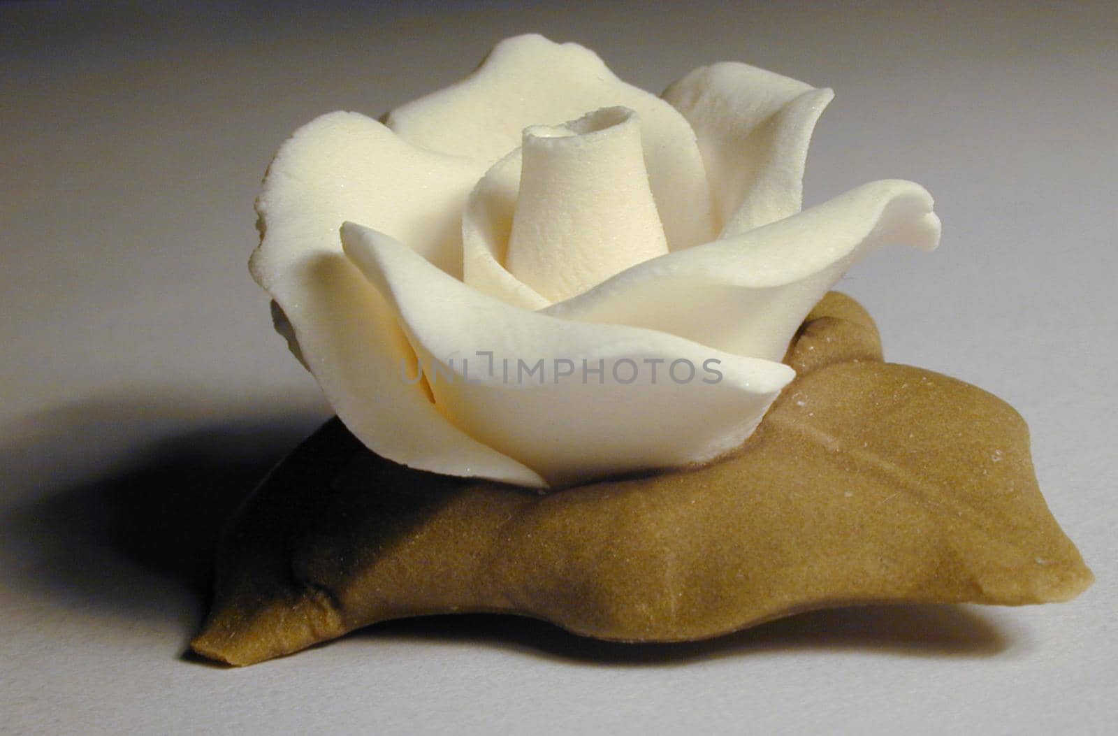 pretty handmade white icing sugar flower for decorating a cake made by a baking enthusiast or bakery