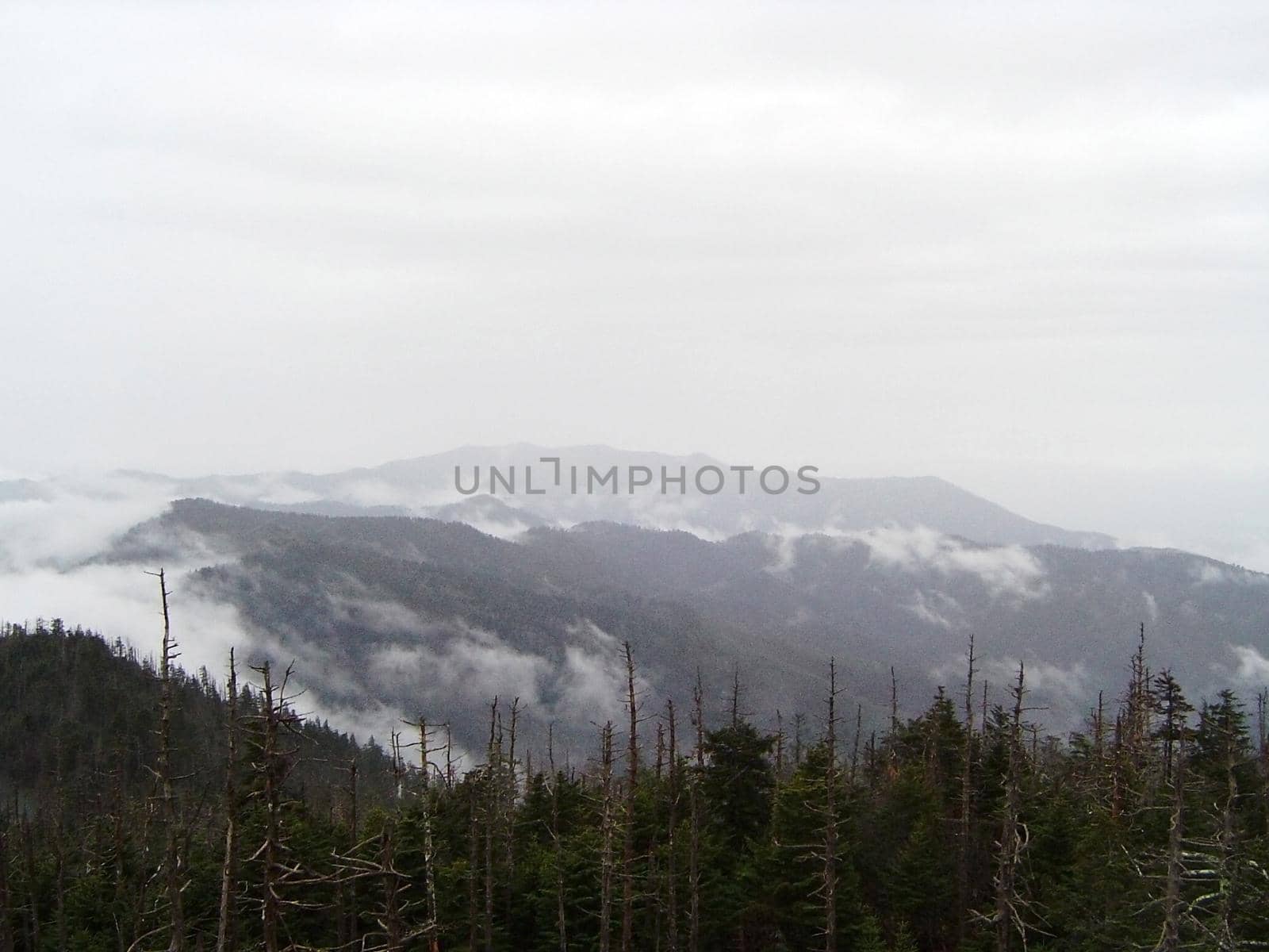 a generic wilderness alpine mountain view