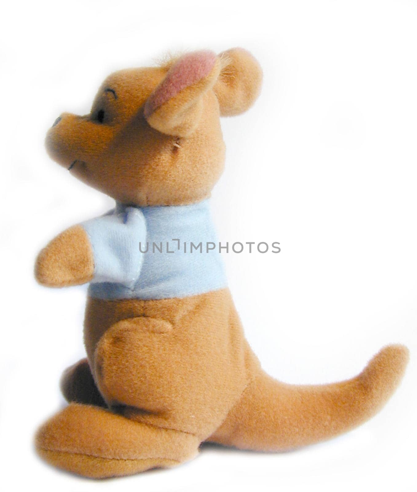 Cute little Australian plush soft toy kangaroo wearing a blue jacket viewed sideways sitting on its tail over a white background