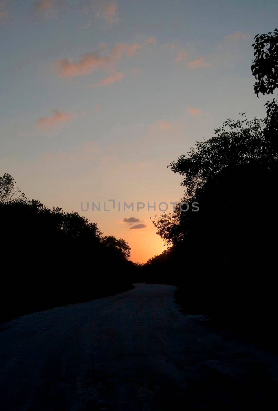 The last light of the day, walking a jungle track in mexico