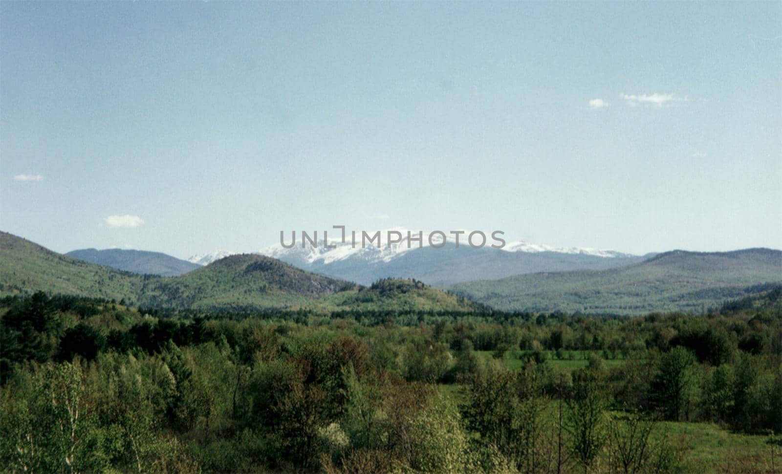 wilderness view with a forebround of trees and snow capped mountains in the background
