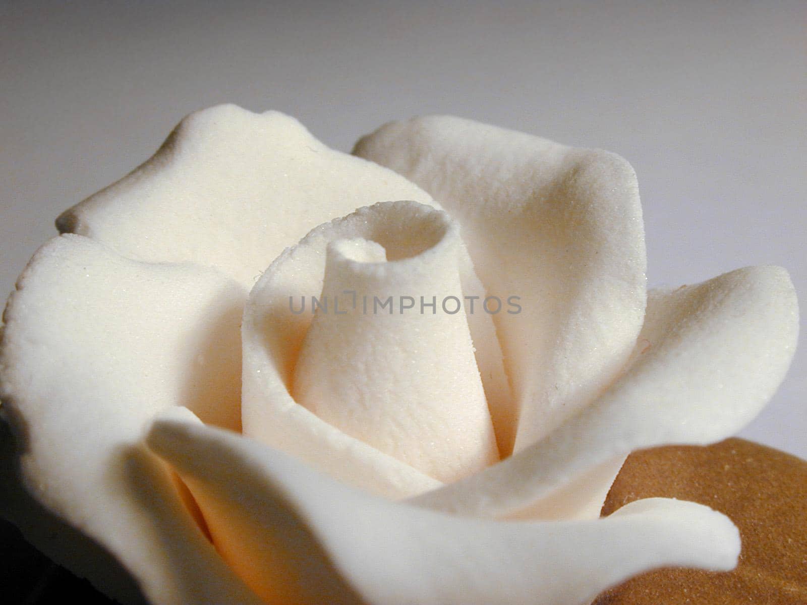 White icing sugar flower for use in baking to decorate a cake or confectionery, close up view