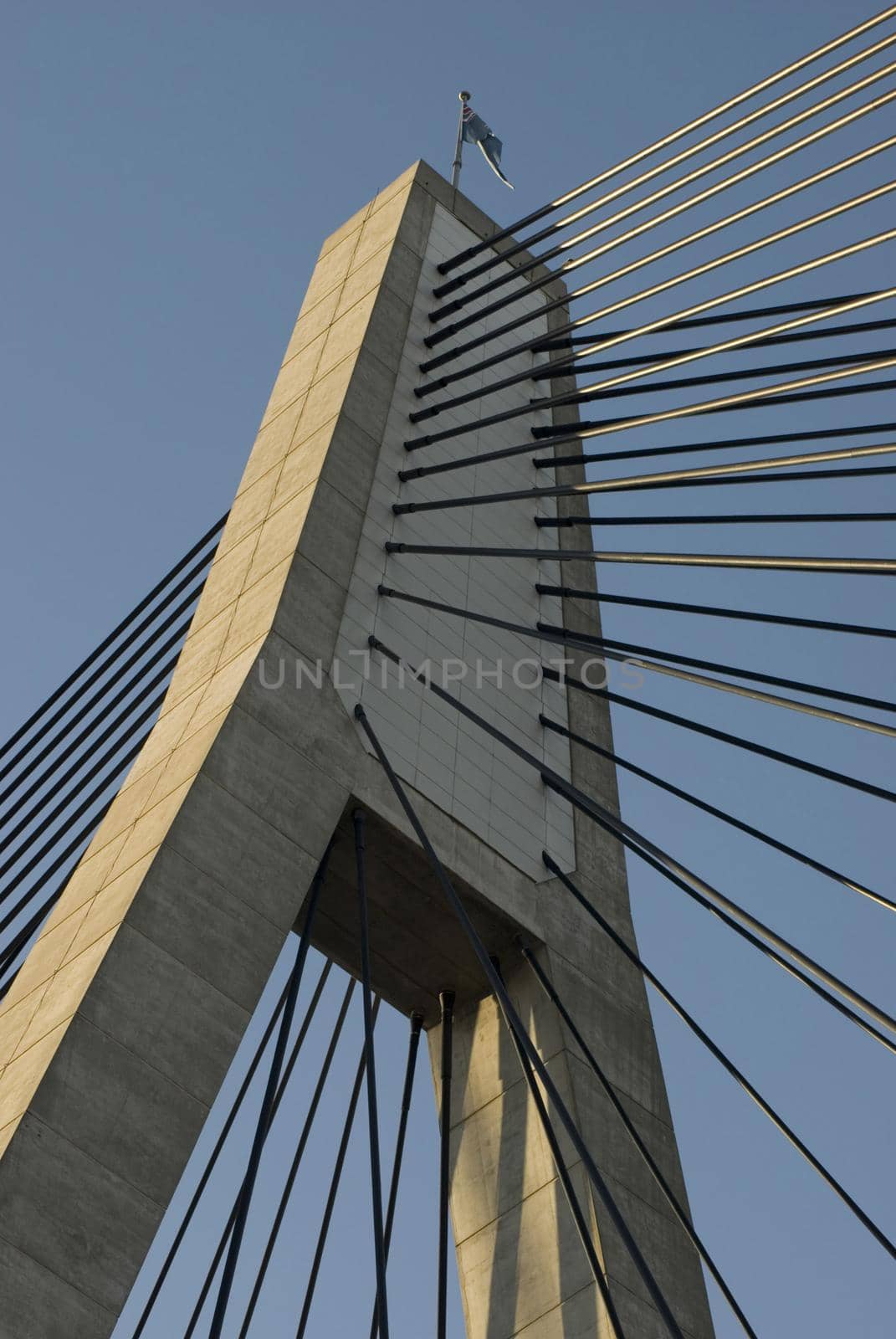Close up vide of the tower and support wires on a cable stayed bridge