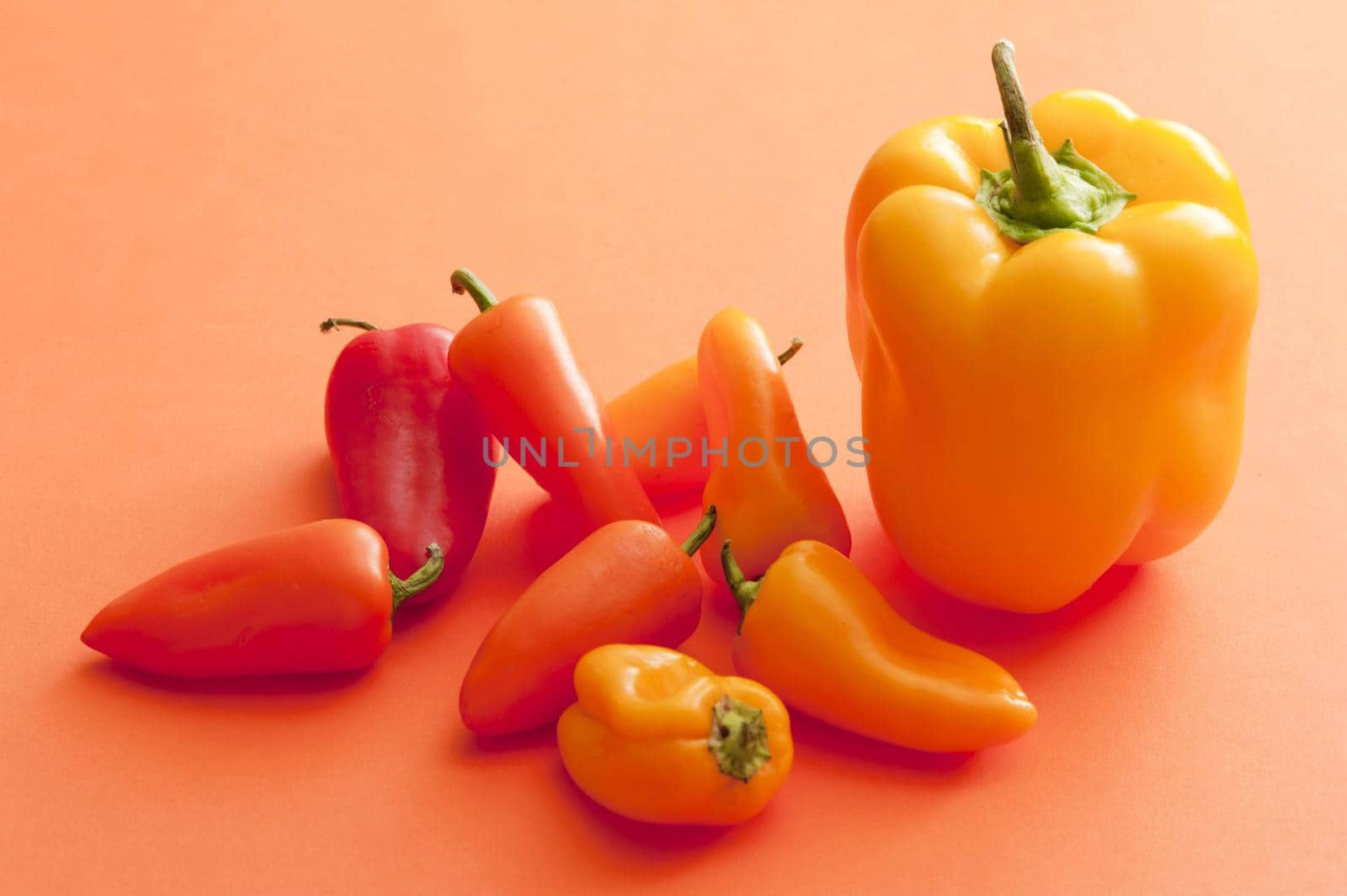 An assortment of vibrant, fresh orange and yellow peppers isolated on a plain orange background.