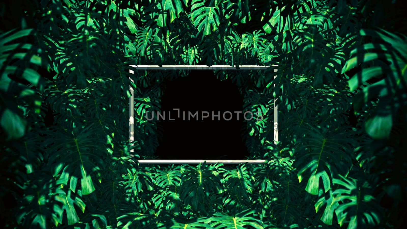 The Jungle In Swiss Cheese Plant Frame by urzine