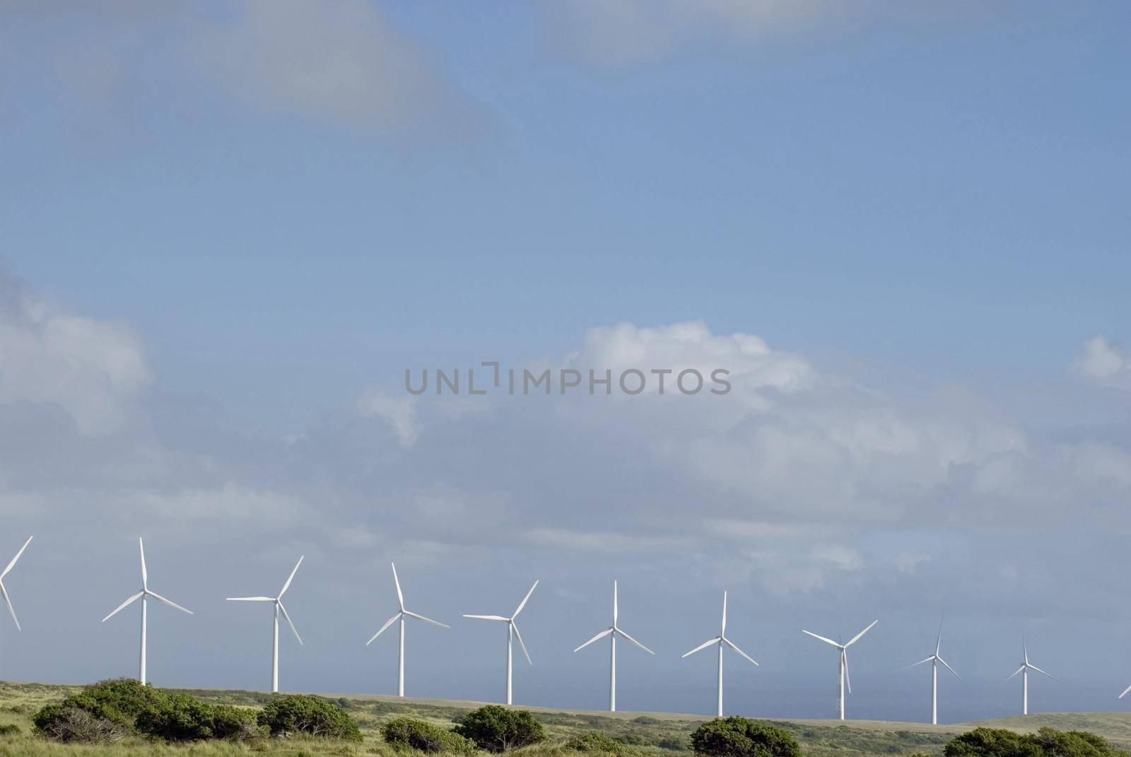 a line of wind power generators